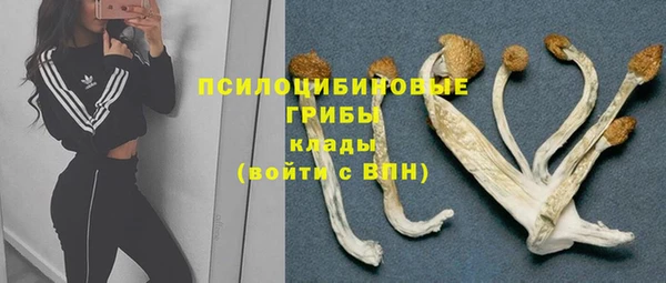 mix Абаза